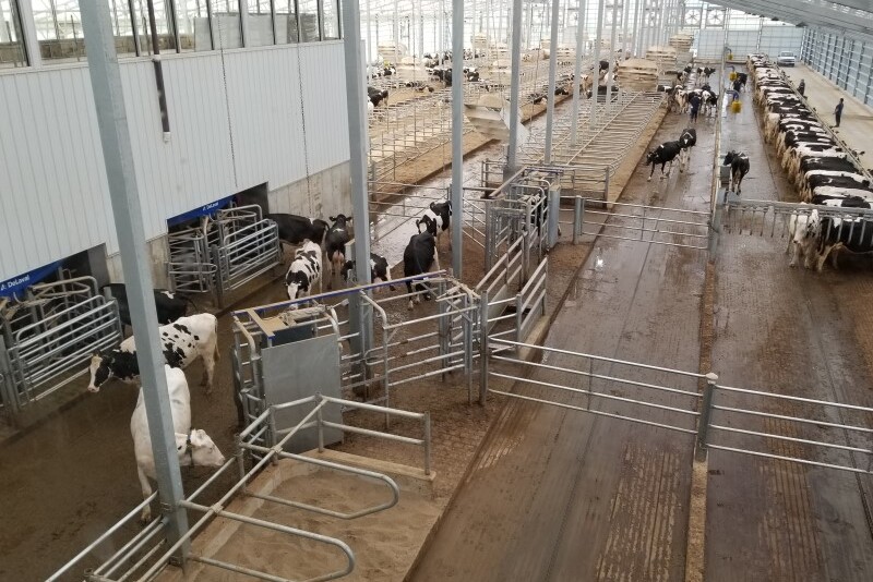 Keywords:
Executive leaving office building - Exclusive | Bank of New York Mellon Approached Northern Trust to ...